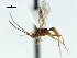  ( - CBRA0162)  @13 [ ] CreativeCommons - Attribution (2009) Unspecified Centre for Biodiversity Genomics