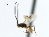  ( - CBRA0213)  @12 [ ] CreativeCommons - Attribution (2009) Unspecified Centre for Biodiversity Genomics