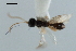  ( - CBRA0218)  @12 [ ] CreativeCommons - Attribution (2009) Unspecified Centre for Biodiversity Genomics