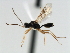  ( - CBRA0394)  @13 [ ] CreativeCommons - Attribution (2009) Unspecified Centre for Biodiversity Genomics