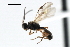  ( - CBRA0404)  @13 [ ] CreativeCommons - Attribution (2009) Unspecified Centre for Biodiversity Genomics