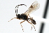  ( - CBRA0405)  @13 [ ] CreativeCommons - Attribution (2009) Unspecified Centre for Biodiversity Genomics
