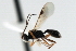  ( - CBRA0421)  @13 [ ] CreativeCommons - Attribution (2009) Unspecified Centre for Biodiversity Genomics