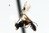 ( - CBRA0430)  @14 [ ] CreativeCommons - Attribution (2009) Unspecified Centre for Biodiversity Genomics