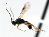  ( - CBRA0431)  @13 [ ] CreativeCommons - Attribution (2009) Unspecified Centre for Biodiversity Genomics