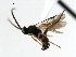  ( - CNCH1609)  @12 [ ] CreativeCommons - Attribution (2009) Unspecified Centre for Biodiversity Genomics