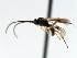  ( - CNCH1623)  @12 [ ] CreativeCommons - Attribution (2009) Unspecified Centre for Biodiversity Genomics