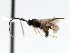  ( - CNCH1624)  @12 [ ] CreativeCommons - Attribution (2009) Unspecified Centre for Biodiversity Genomics