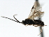  ( - CNCH1627)  @13 [ ] CreativeCommons - Attribution (2009) Unspecified Centre for Biodiversity Genomics