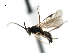  ( - CNCH1630)  @12 [ ] CreativeCommons - Attribution (2009) Unspecified Centre for Biodiversity Genomics