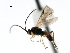  ( - CNCH1640)  @13 [ ] CreativeCommons - Attribution (2009) Unspecified Centre for Biodiversity Genomics