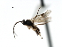  ( - CNCH1647)  @12 [ ] CreativeCommons - Attribution (2009) Unspecified Centre for Biodiversity Genomics