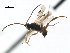  ( - CNCH1657)  @13 [ ] CreativeCommons - Attribution (2009) Unspecified Centre for Biodiversity Genomics