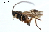  ( - CNCH1676)  @13 [ ] CreativeCommons - Attribution (2009) Unspecified Centre for Biodiversity Genomics