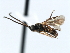  ( - CNCH1684)  @14 [ ] CreativeCommons - Attribution (2009) Unspecified Centre for Biodiversity Genomics
