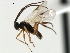  ( - CNCH1770)  @12 [ ] CreativeCommons - Attribution (2009) Unspecified Centre for Biodiversity Genomics