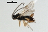  ( - CNCH1777)  @12 [ ] CreativeCommons - Attribution (2009) Unspecified Centre for Biodiversity Genomics