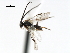  ( - CNCH1793)  @11 [ ] CreativeCommons - Attribution (2009) Unspecified Centre for Biodiversity Genomics