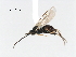  ( - CNCH1800)  @12 [ ] CreativeCommons - Attribution (2009) Unspecified Centre for Biodiversity Genomics