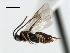  ( - CNCH1803)  @13 [ ] CreativeCommons - Attribution (2009) Unspecified Centre for Biodiversity Genomics