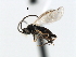  ( - CNCH1807)  @12 [ ] CreativeCommons - Attribution (2009) Unspecified Centre for Biodiversity Genomics