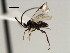  ( - CNCH1811)  @11 [ ] CreativeCommons - Attribution (2009) Unspecified Centre for Biodiversity Genomics