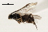  ( - CNCH1821)  @13 [ ] CreativeCommons - Attribution (2009) Unspecified Centre for Biodiversity Genomics