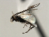  ( - CNCH1822)  @12 [ ] CreativeCommons - Attribution (2009) Unspecified Centre for Biodiversity Genomics