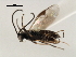  ( - CNCH1835)  @12 [ ] CreativeCommons - Attribution (2009) Unspecified Centre for Biodiversity Genomics
