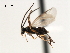  ( - CNCH1841)  @12 [ ] CreativeCommons - Attribution (2009) Unspecified Centre for Biodiversity Genomics