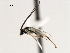  ( - CNCH1843)  @12 [ ] CreativeCommons - Attribution (2009) Unspecified Centre for Biodiversity Genomics