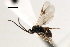  ( - CNCH1844)  @13 [ ] CreativeCommons - Attribution (2009) Unspecified Centre for Biodiversity Genomics