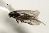  ( - CNCH1847)  @12 [ ] CreativeCommons - Attribution (2009) Unspecified Centre for Biodiversity Genomics
