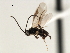  ( - CNCH1855)  @13 [ ] CreativeCommons - Attribution (2009) Unspecified Centre for Biodiversity Genomics