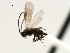  ( - CNCH1856)  @12 [ ] CreativeCommons - Attribution (2009) Unspecified Centre for Biodiversity Genomics