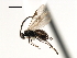  ( - CNCH1858)  @14 [ ] CreativeCommons - Attribution (2009) Unspecified Centre for Biodiversity Genomics