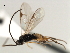 ( - CNCH1859)  @14 [ ] CreativeCommons - Attribution (2009) Unspecified Centre for Biodiversity Genomics