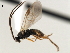  ( - CNCH1860)  @13 [ ] CreativeCommons - Attribution (2009) Unspecified Centre for Biodiversity Genomics