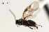  ( - CNCH1863)  @12 [ ] CreativeCommons - Attribution (2009) Unspecified Centre for Biodiversity Genomics