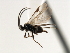  ( - CNCH1864)  @14 [ ] CreativeCommons - Attribution (2009) Unspecified Centre for Biodiversity Genomics