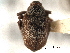 ( - CNC COLEOPT 04-1662)  @11 [ ] CreativeCommons - Attribution (2012) CNC/CBG Photography Group Centre for Biodiversity Genomics