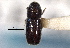  ( - CNC COLEO 00103260)  @13 [ ] CreativeCommons - Attribution (2012) CNC/CBG Photography Group Centre for Biodiversity Genomics