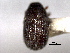  ( - CNC COLEO 00104649)  @12 [ ] CreativeCommons - Attribution (2012) CNC/CBG Photography Group Centre for Biodiversity Genomics