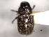  ( - CNC COLEO 00104651)  @11 [ ] CreativeCommons - Attribution (2012) CNC/CBG Photography Group Centre for Biodiversity Genomics