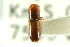  (Gnathotrichus perniciosus - CNC COLEO 00138301)  @11 [ ] CreativeCommons - Attribution (2012) CNC/CBG Photography Group Centre for Biodiversity Genomics