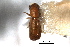  ( - CNC COLEO 00138389)  @11 [ ] CreativeCommons - Attribution (2012) CNC/CBG Photography Group Centre for Biodiversity Genomics