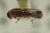  ( - CNC COLEO 00138627)  @11 [ ] CreativeCommons - Attribution (2012) CNC/CBG Photography Group Centre for Biodiversity Genomics