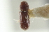  ( - CNC COLEO 00138708)  @11 [ ] CreativeCommons - Attribution (2012) CNC/CBG Photography Group Centre for Biodiversity Genomics