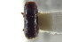  (Pseudopityophthorus declivis - CNC COLEO 00138744)  @11 [ ] CreativeCommons - Attribution (2012) CNC/CBG Photography Group Centre for Biodiversity Genomics