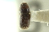  ( - CNC COLEO 00138763)  @11 [ ] CreativeCommons - Attribution (2012) CNC/CBG Photography Group Centre for Biodiversity Genomics